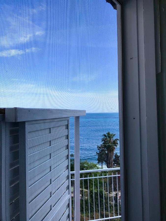 Paradisea Taormina Luaran gambar