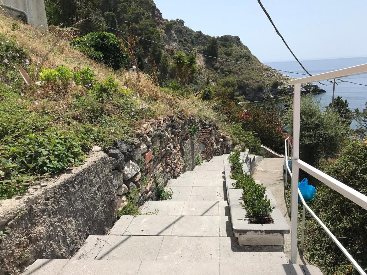 Paradisea Taormina Luaran gambar